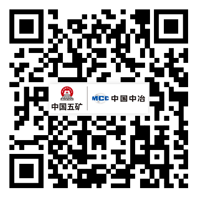 MG电子(中国游)试玩官方网站